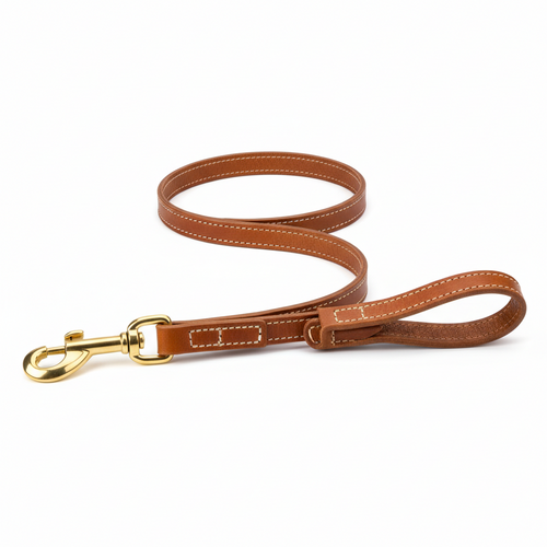Custom dog walking belt and leash